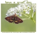 have a great day, BUTTERFLY, ANIMALS, TEXT