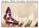 Enjoy This Lovely Morning