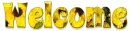 WELCOME, TEXT, YELLOW, CHRYSANTHEMUM