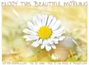 ENJOY THIS BEAUTIFUL MORNING