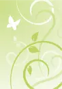 Light Green Background with butterfly & vines