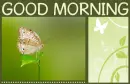 GOOD MORNING, VINES, BUTTERFLY, TEXT