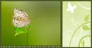 GREEN BACKGROUND WITH BUTTERFLY & SIDE PANEL WITH VINES