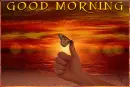 GOOD MORNING, ANIMALS, BUTTERFLY, TEXT
