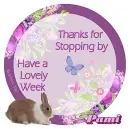 jczbabydoll  - Pami
