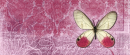 Burgandy Page Of Text With Butterfly On It (BANNER)