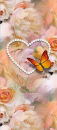 Peach Butterfly with Flower Background