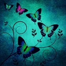 TEAL Background with Butterflies