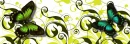 BUTTERFLY BANNER