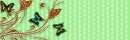 LIME BACKGROUND WITH BUTTERFLY (BANNER ALSO)