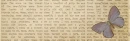 Butterfly on Newspaper Background/Banner