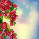 Summer ~ background