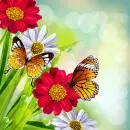 Summer ~ background