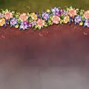Summer ~ background
