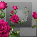 Roses ~ background