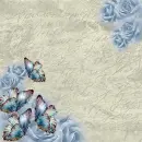 Summer ~ background