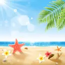 Summer ~ background - fg