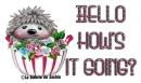 Hedgehog - Hello, how's it going?