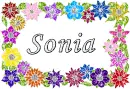 Sonia - flower
