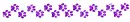 paw print divider