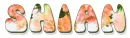 SHIAN, PEACH, DALIA, NAMES, TEXT