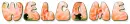 WELCOME, PEACH, DALIA, FLOWERS, TEXT