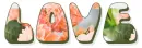 LOVE, PEACH, FLOWERS, TEXT, DALIA
