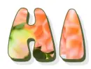 Hi, PEACH, DALIA, FLOWERS, TEXT