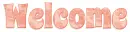 WELCOME, PEACH, DESIGNS, TEXT, ROSES