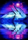 Dolphins