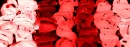 WalkTheLineOfRedCrystals