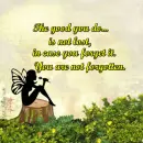The Good - Yellow Flowers - Not Lost - Stump