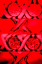 xoxoMoreRedxoxo