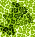 TrySomethingNewOliveFanPrint