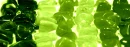 WalkTheLineOfOliveCrystals