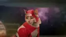 cat dressed up in a red costume