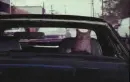 cat driving a car