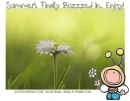 SUMMER'S FINALLY BUZZZED IN.. ENJOY!