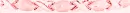 StarSpangledPinkDivider