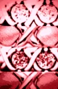 xoxoMorePinkxoxo