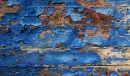 BLUE PAINT PEELING FROM REDWOOD B(BACKGROUND)
