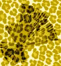 TrySomethingNewGoldFanPrint