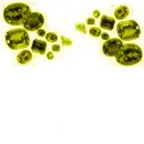 MasterpieceCitrine