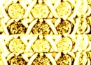 GoldenxoxoMajestyxoxo