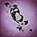 Butterflies on magenta background