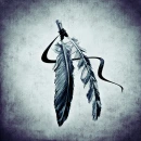 Indian Feather on teal background
