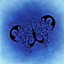 Butterfly on blue background