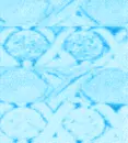 MoreLovexoxoTurquoisexoxo