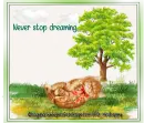 Never stop dreaming....kitty