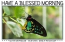 HAVE A BLESSED MORNING, BUTTERFLY, TEXT